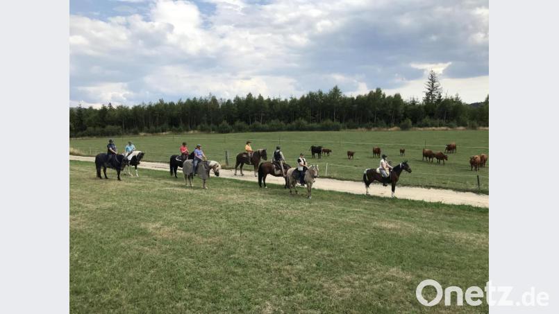 Bei einer dreitägigen Tour im Sattel lernen die Reiter sich und das Tier noch besser kennen. Mit lockeren Zügeln geht es in Waldau los. Drei Tage später kehren sie wieder an den Ausgangspunkt zurück und sind um etliche schöne Erfahrungen reicher. Bild: dob