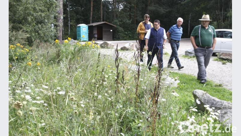 Gemeinsam mit Hans Schießl vom Wackersdorfer Imkerverein und dem Biotop-Beauftragte der Gemeinde, Rudi Prebeck machte sich Bürgermeister Thomas Falter (von rechts) ein Bild von der "Veitshöchheimer Bienenweide" am Erlebnispark. Bild: Hirsch