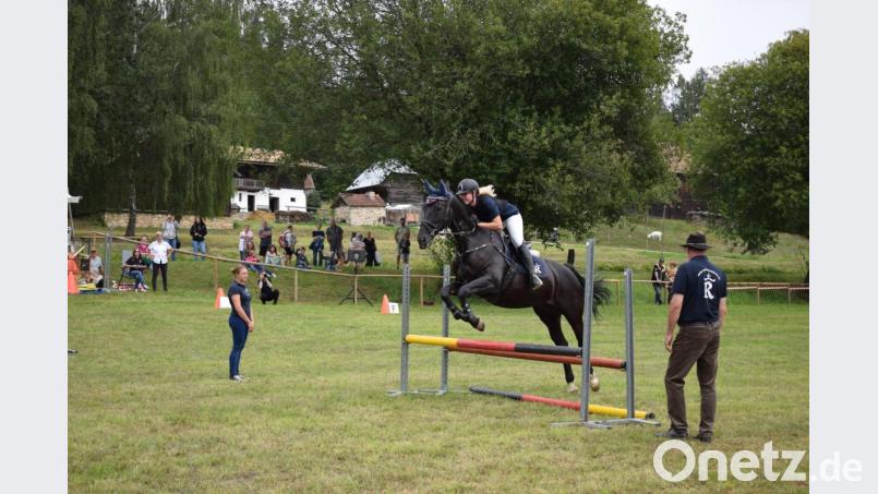 Auch beim Springen hat das Rottaler Pferd seine Qualitäten. Bild: bnr