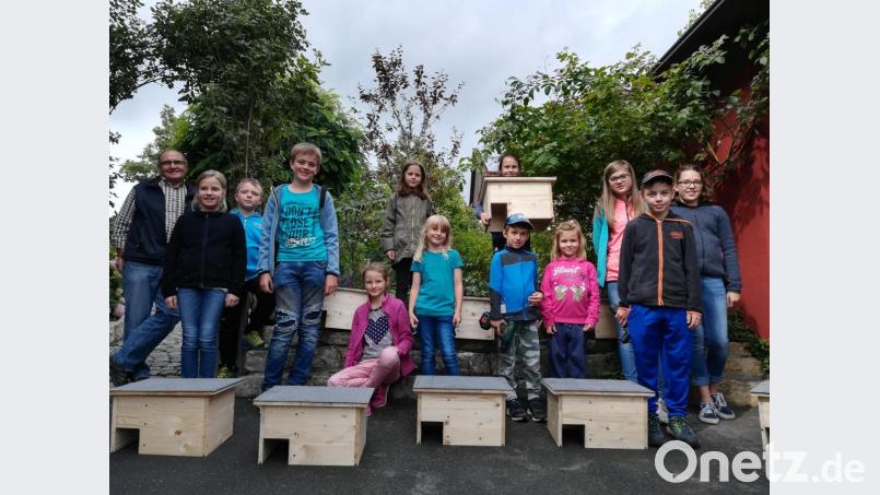 Die Kinder bauen beim Obst- und Gartenbauverein Gunzendorf Igelkästen zusammen und lernen viel über deren künftige Bewohner. Bild: exb
