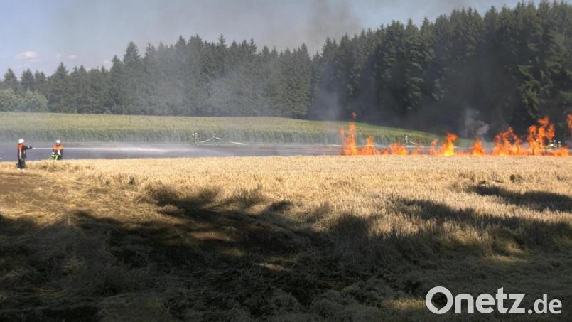 Auf diesem Feld an der B 22 bei Steinreuth brannte es am Sonntagnachmittag. Bild: Wellenhöfer