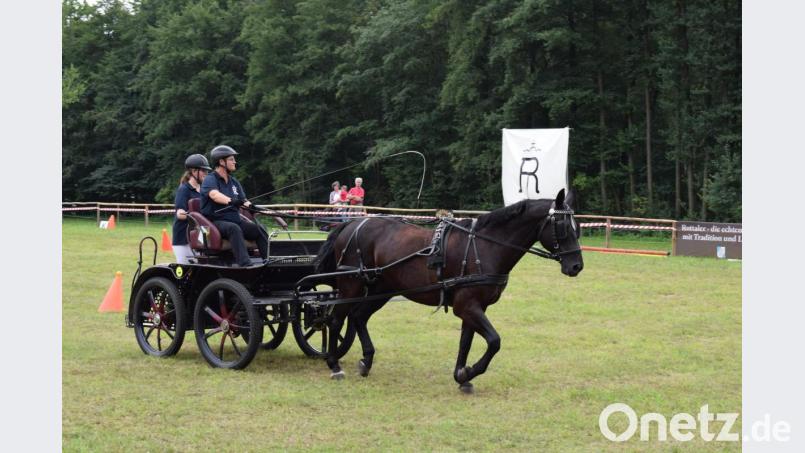 Viel Erfahrung erfordert das Lenken eines Marathonwagens. Er wird bei Turnieren eingesetzt. Bild: bnr