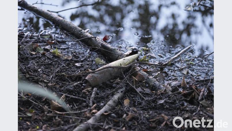 Wo sie herkommt und wie lange sie schon am Ufer des Hirschbergweihers lag, kann augenblicklich niemand sagen. Die Granate stellt auf alle Fälle keine Gefahr mehr dar. Bild: bkr