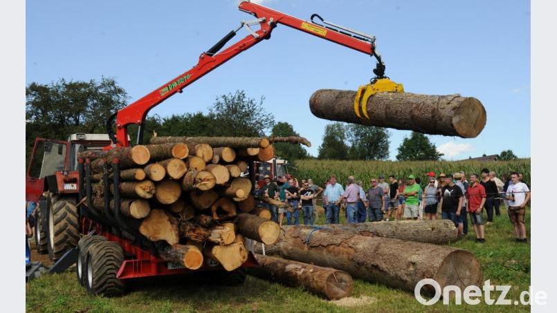 Wo sich vor 50 Jahren die Holzknechte abschinden mußten, genügt heute ein kleiner Joystick, um schwere Stämme mühelos zu verladen. Bild: gf