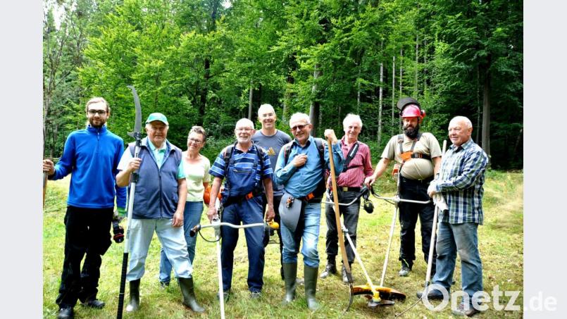 Toni Wolf (Vierter von rechts) leitete am Samstag den Arbeitseinsatz der BN-Ortsgruppe Tännesberg in der Forstwiese. Bild: es