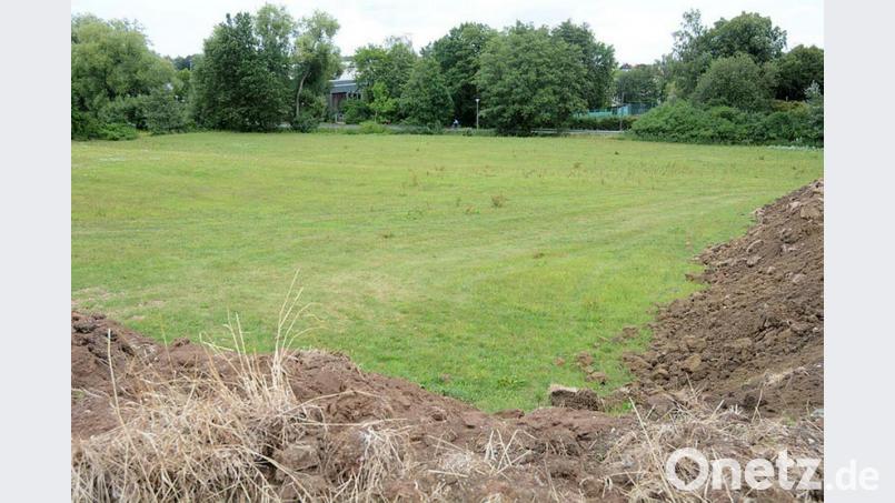 Auf dieser Wiese an der Berndorfer Straße soll einmal die neue Realschule Kemnath stehen. Im Hintergrund ist die Mehrzweckhalle zu sehen. Bild: Gabi Schönberger