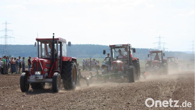 Die Profis auf ihren Schlüter-Kult-Ackerboliden zeigen ihr Können bei den Feldvorführungen. Bild: exb