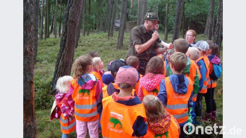 Mit dem Jäger auf der Pirsch Bild: exb