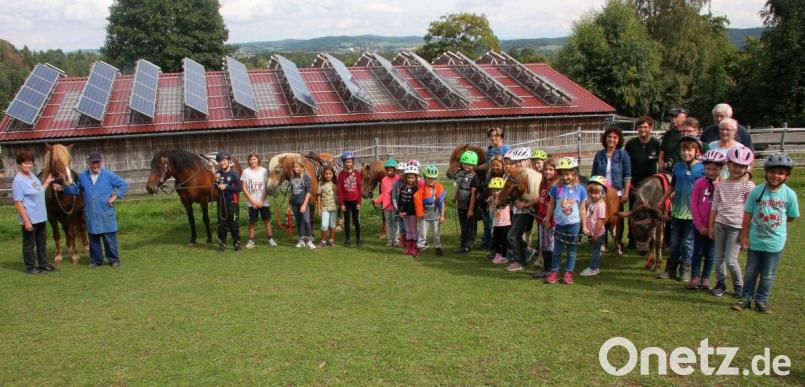 22 Buben und Mädchen meldeten sich zum Ferienprogramm der Waldershofer Naturfreunde an. In Rodenzenreuth warteten bereits die Familie Wegmann (links) und deren Tiere auf sie. Bild: wro