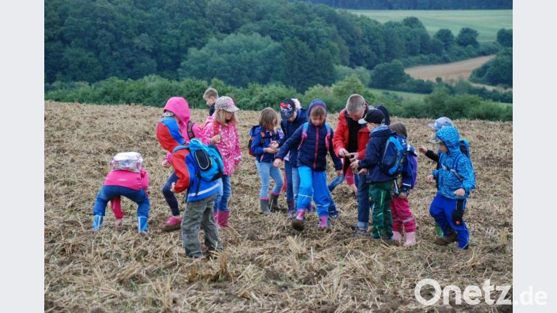 Mit Begeisterung suchen die Kinder unter Anleitung von Angela Wirsing (Fünfte von rechts) in Aschach Fossilien. Bild: sche