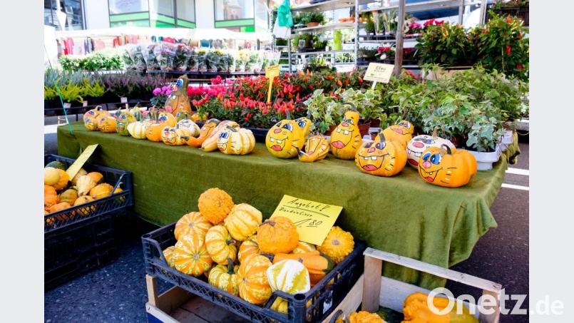 Das Angebot aus dem Bereich Floristik und Gartenbau dürfte auch heuer den Marktbesuchern gefallen. Bild: Heinz Hofmann/exb