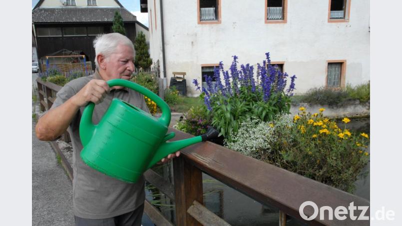 Engagiert und zuverlässig pflegt Karl Scheuerer die Blumen der Brücke der Hammerstraße. Trotz der großen Hitze in den letzten Wochen freuen sich nicht nur Einheimische, sondern auch viele Radler an der Blumenpracht. Bild: pop