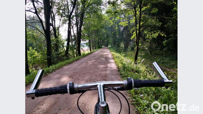 Wer auf dem Fünf-Flüsse-Radweg von Amberg nach Regensburg fährt, bekommt viel Grün zu sehen. Bild: phol