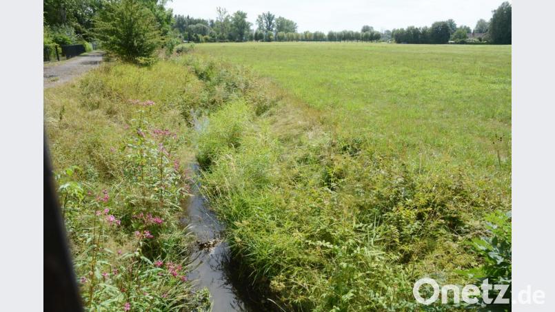 Enorme Erdbewegungen sind ab Herbst auf dem Gelände zwischen Kirchsteig und DJK notwendig. Hier bauen die Stadtwerke eine Regenwasserbehandlungsanlage. Bild: Gabi Schönberger