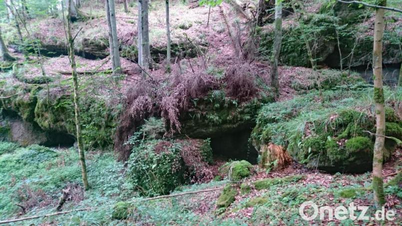 Nicht nur Felsformationen, sondern auch kleinere Höhlen lassen sich auf dem karstkundlichen Wanderpfad bei Neuhaus an der Pegnitz entdecken. Bild: pkec