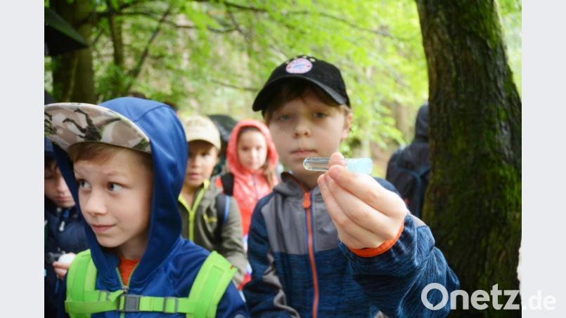 Beim Ferienprogramm des Stadtjugendrings Weiden üben sich die Kids im Goldwaschen am Doost. Das Regenwetter hält sie nicht ab. Bild: Gabi Schönberger