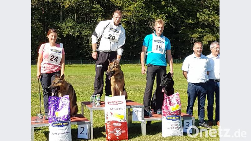 Bei der Nordbayerischen Meisterschaft der Schäferhunde sind auch drei Waidhauser am Start. Bild: exb
