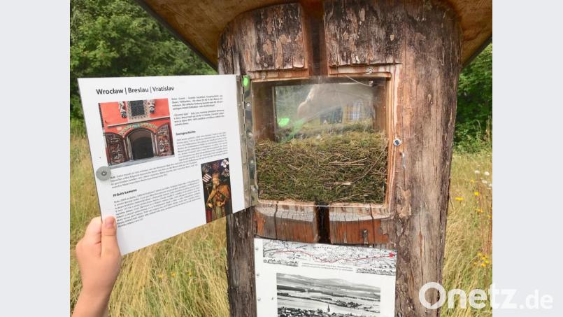 Verschwunden ist der Originalstein aus Breslau, das Nest eines Siebenschläfers hat ihn verdeckt. Bild: cr