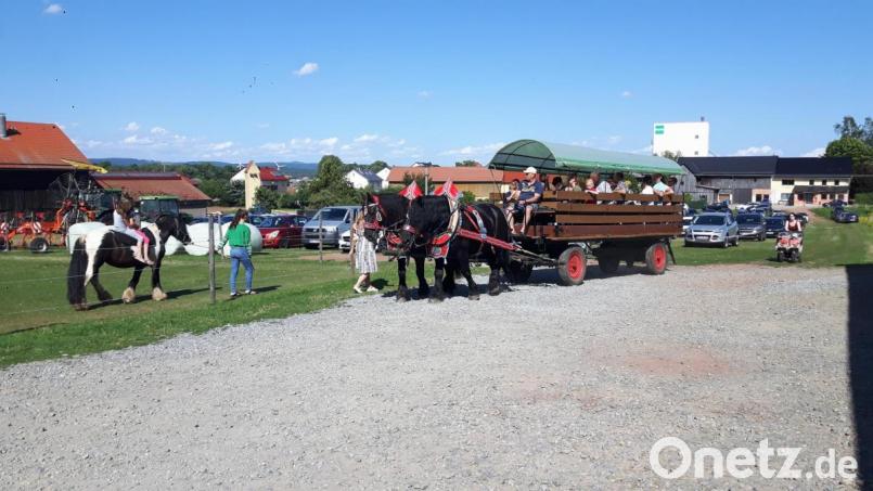 Eine Kutschfahrt darf beim Fest des Erlebnishofes Ziegler nicht fehlen. Bild: alr