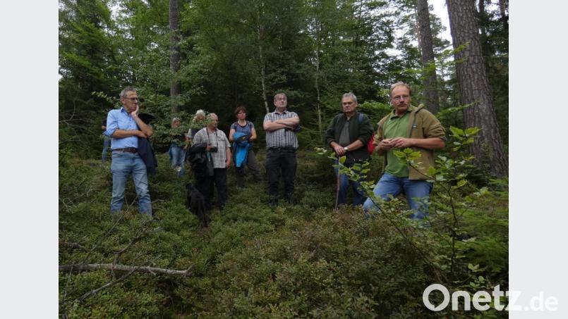 Inmitten der Natur erläuterte Revierförster Wolfgang Schödel (rechts) bei einer Exkursion die Chancen und Herausforderungen der Tanne als Fichtenersatz. Bild: fua
