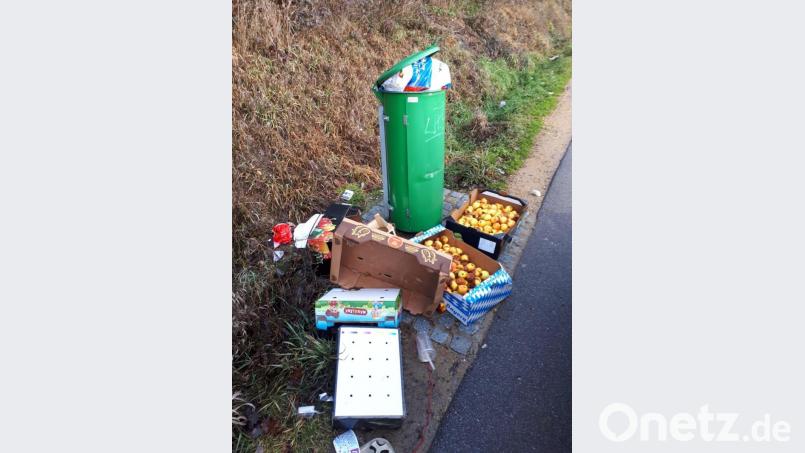 Dieser Abfall hat am Straßenrand nichts verloren. Bild: Landratsamt Schwandorf