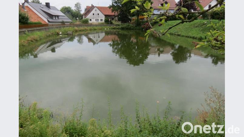 Der Dorfweiher wird aufgefüllt und auf dem entstehenden Gelände ein Spiel- und Bolzplatz angelegt. Bild: kö