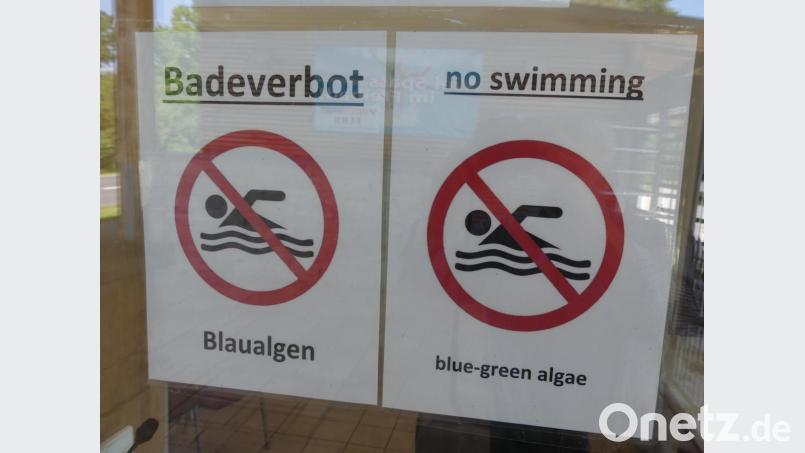 Seit Freitagmittag &quot;zieren&quot; Badeverbots-Schilder nicht nur den Eingangsbereich zum Rußweiherbad. Bild: rn