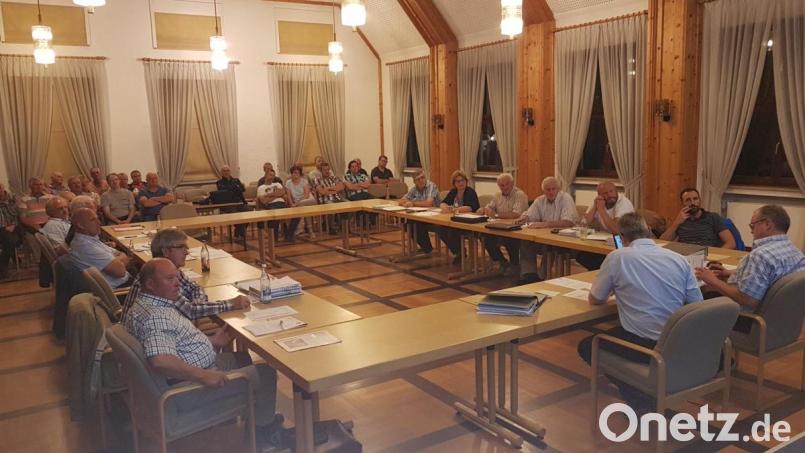 Aufmerksam lauschten etwa 30 Zuhörer im Rathaussaal den Diskussionen zur Wasserversorgung zu. Bild: gi