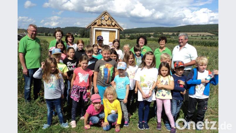 Wissenswertes über Kräuter erfuhren die Kinder bei der Wanderung, die der Gartenbauverein im Zuge des Ferienprogramms angeboten hatte. Bild: ksi