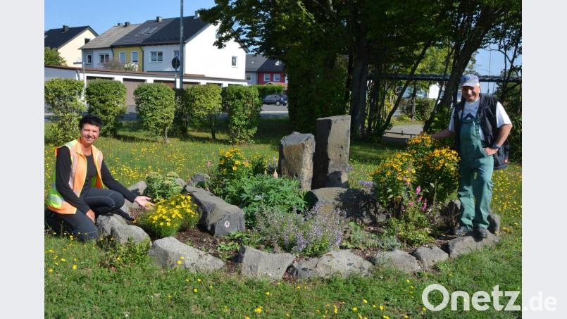 Brigitte Bassek und Stadtgärtner Willi Kilian sind mächtig stolz auf das Ergebnis einer Pflanzaktion mit Kindern und Jugendlichen des Obst- und Gartenbauvereins Mitterteich. In dem im Juni neu angelegten Beet stehen verschiedenste bienenfreundliche Pflanzen in voller Blüte. Bild: jr