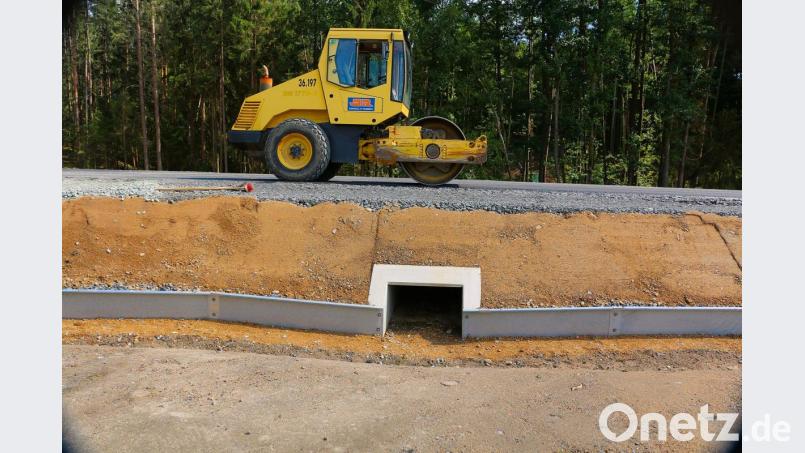 Einer von zwei stabilen Amphibiendurchlässen. Bild: bsc