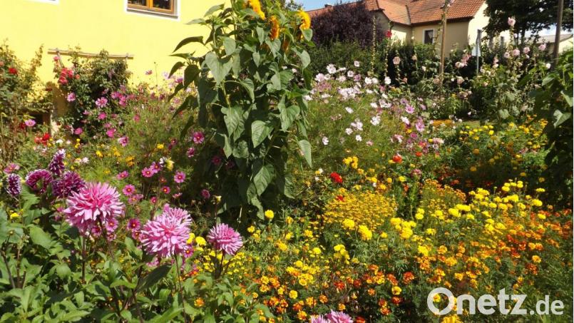 Der wunderschöne Bauerngarten der Familie Kahl. Bild: trj