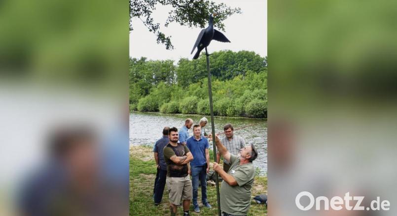 Anhand von praktischen Beispielen demonstrierte der Referent die Platzierung der Lockvögel. Bild: Lier