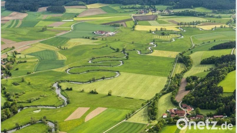 Diese Luftaufnahme von Josef Merkl zeigt die Schwarzach, eingebettet zwischen Dörfern, Wäldern, Wiesen und Feldern, ab dem Ortsrand von Altfalter (links Mitte) in Richtung Pretzabruck (rechts oben). Bild: Josef Merkl/exb