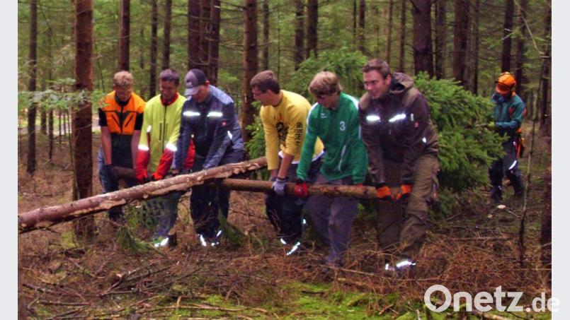 Schön sachte wird die Fichte mit Muskelkraft aus dem Wald geholt. Bald steht sie als Kirwabaum im Mittelpunkt der tanzenden Paare. Bild: jml