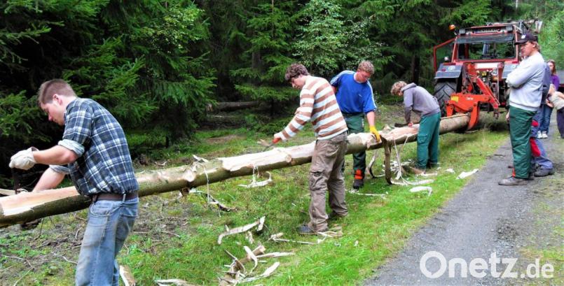 Gleich nach dem Fällen wird der Kirwabaum noch im Wald entrindet. Bild: jml