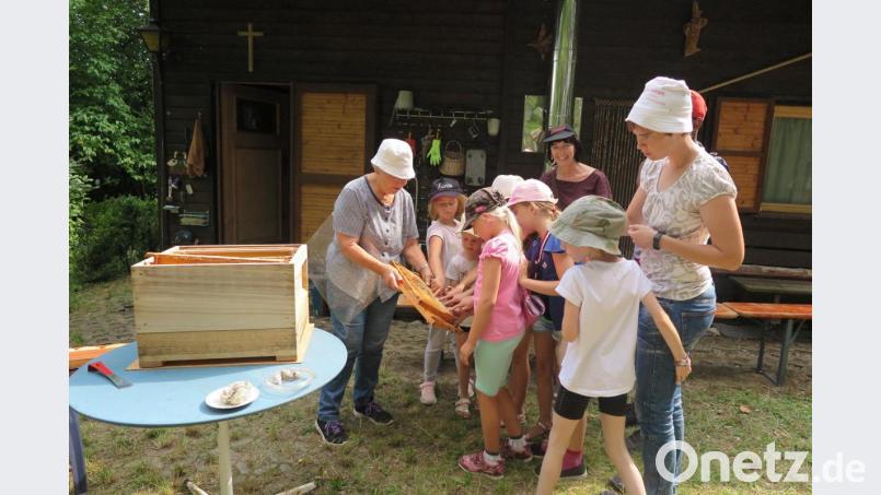 „Wo ist in dieser Bienenwabe der Honig?“ fragte Gudrun Mittereder-Runge die kleinen Imkerfreunde. Bild: jzk