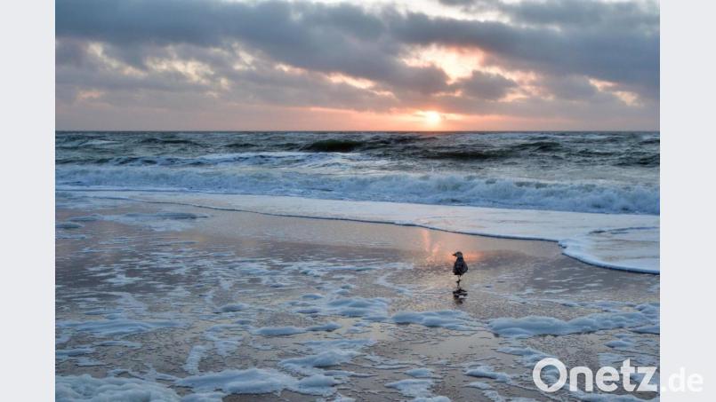 Martin Poschenrieder war mit seiner Kamera auf Sylt unterwegs und fing eine phantastische Stimmung ein. Bild: exb/Martin Poschenrieder