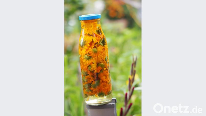 Ringelblumen sind Heilpflanzen. Bild: ils