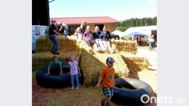 Den kleinen Festbesuchern stand eine Spielecke mit Strohballenrutsche, Sandspielplatz und Kinderschminken zur Verfügung. Bild: lts
