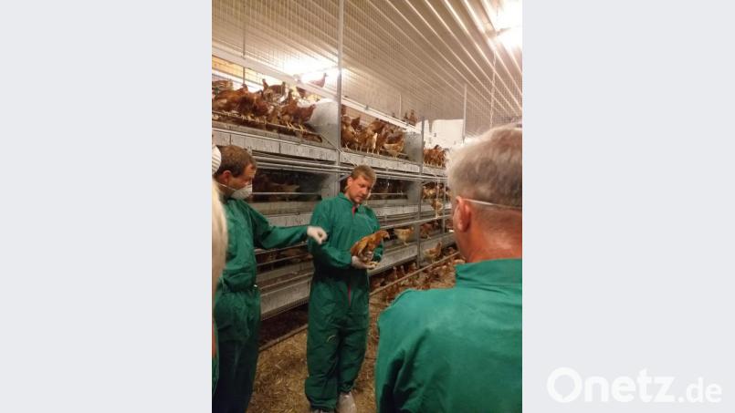 Florian Werner führt die Gäste durch seinen Stall, der Platz für 24 000 Junghennen bietet. Bild: ema
