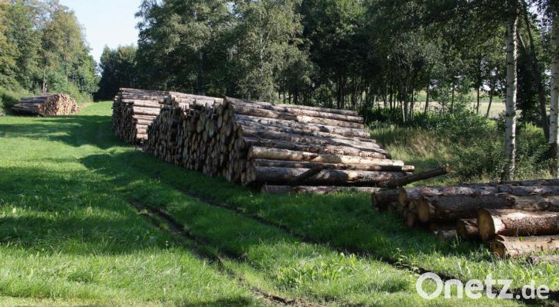 Nördlich des Fuchsmühler Schlosses lagern derzeit rund 800 Festmeter Holz. Die Bestände sollen nach und nach abgebaut werden. Bild: wro