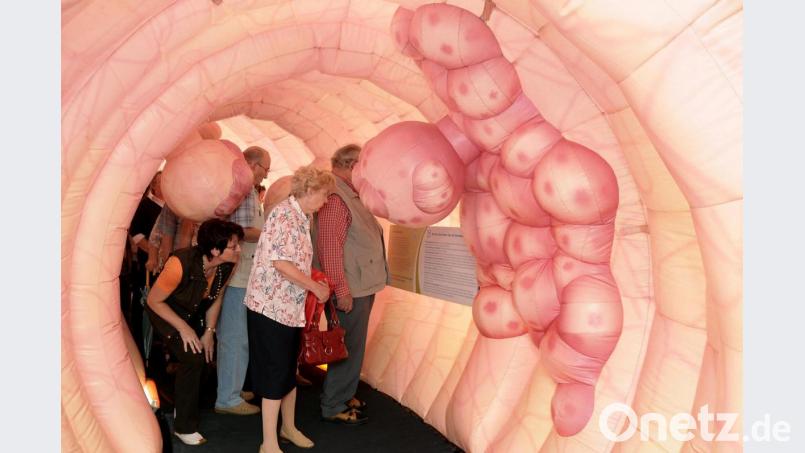 So schaut’s im menschlichen Darm aus: Beim Gesundheitstag am 15. September wird ein begehbares, 5,50 Meter langes Modell eines Darms aufgebaut. Bild: Petra Hartl