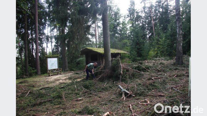 Das Gelände am Hackstein ist übersät von den übrig gebliebenen Spuren der Baumfällaktionen, die dem Förster Kopfzerbrechen bereiten. Bild: wro
