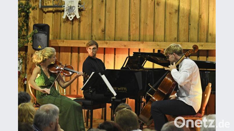 Bei &quot;Klassik in Viehberg&quot; spielen Anna Godelmann, Johannes und Christopher Pickelmann Werke von Mozart bis Piazolla. Bild: Petra Hartl