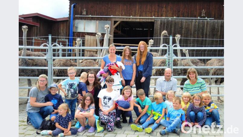 Beim Ferienprogramm besuchen die Haberländer Kinder zusammen mit der CSU eine Straußenfarm. Bild: sm