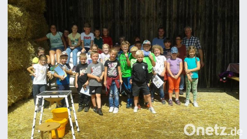 Dass man auf einem Bauernhof Spaß haben kann, erleben viele Kinder beim Ferienprogramm der Frauen-Union Vilseck am Bio-Bauernhof der Familie Trummer. Bild: exb