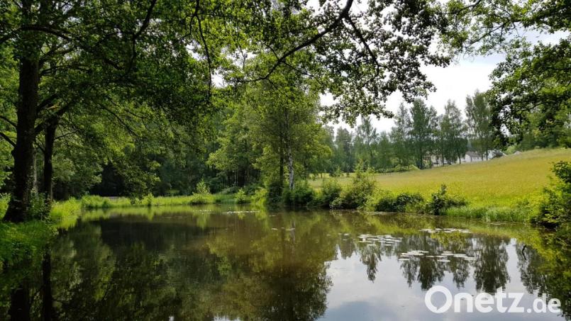 Das Moor- und Mineralheilbad Bad Alexandersbad ist aufgrund seiner Lagegunst umgeben von Wäldern und Wiesen prädestiniert für Gesundheitsangebote in der Natur. Bild: Gemeinde Bad Alexandersbad/exb