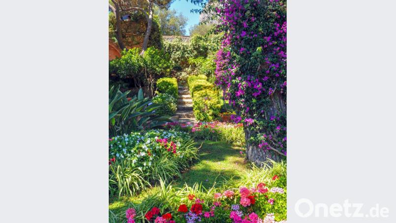 Flower-Power und Party-Stimmung. Bild: exb