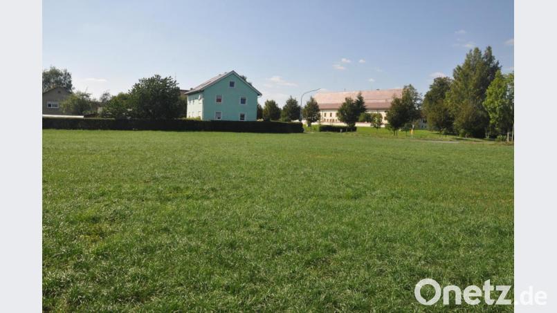 Ein kleines Baugebiet mit vier Plätzen hatte die Stadt auf der Wiese nahe dem Fischhof vorgesehen. Doch die Landesplanung war damit nicht einverstanden. Durch eine "Baulandoffensive" wollte die Stadt auch der Regierung aufzeigen, wie dringend Bauflächen in Tirschenreuth benötigt werden. Bild: ws
